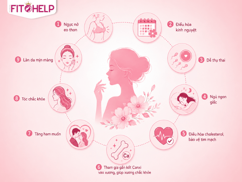 Estrogen là gì và vì sao suy giảm sau tuổi 35 ở phụ nữ? Vai trò của nội tiết tố nữ estrogen tới đời sống và sinh hoạt hàng ngày