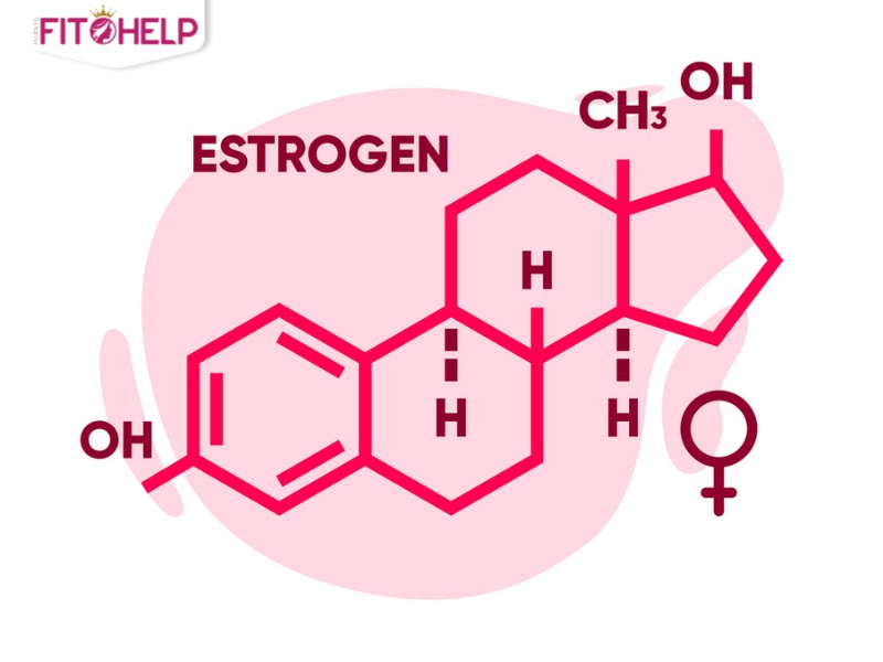 Các loại estrogen và vai trò của từng loại trong cơ thể phụ nữ Estrogen là một hormone hay một nhóm hormone?