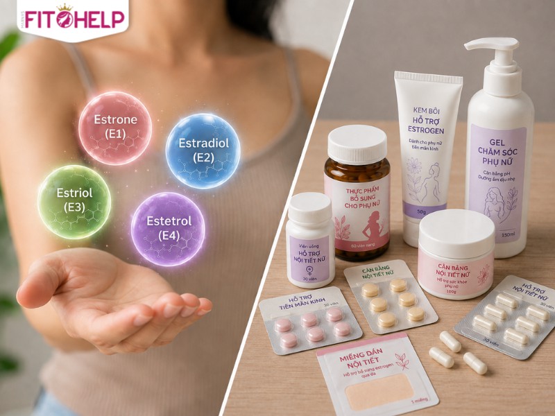 Các loại estrogen và vai trò của từng loại trong cơ thể phụ nữ So sánh estrogen tự nhiên và estrogen tổng hợp