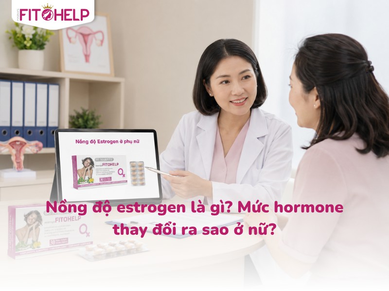 Nồng độ estrogen là gì? Mức hormone thay đổi ra sao ở nữ?